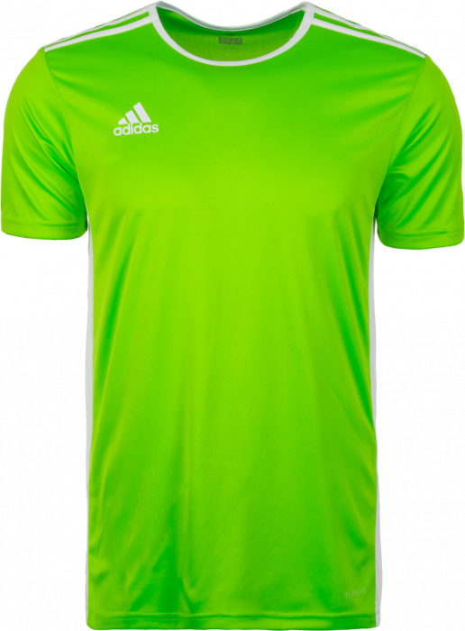 Adidas - Entrada 18 Game Jersey - Solar Green & white