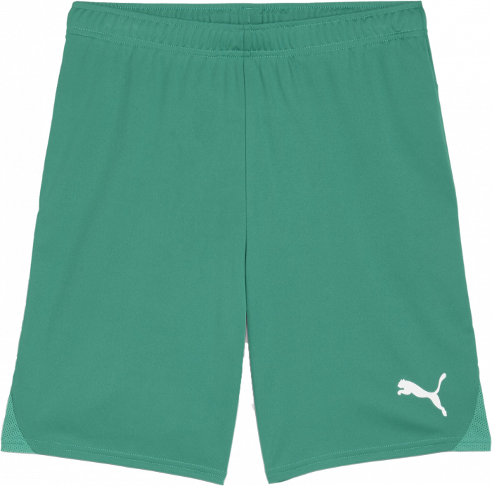 Puma - Teamgoal Shorts - Grön & vit